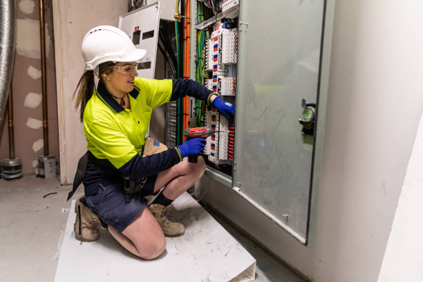 Best Electrician for Home Renovation  in Niagara, WI