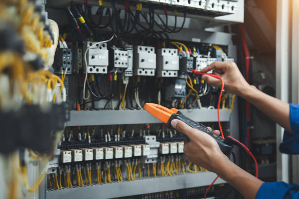 Best Electric Panel Repair  in Niagara, WI